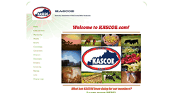 Desktop Screenshot of kascoe.com